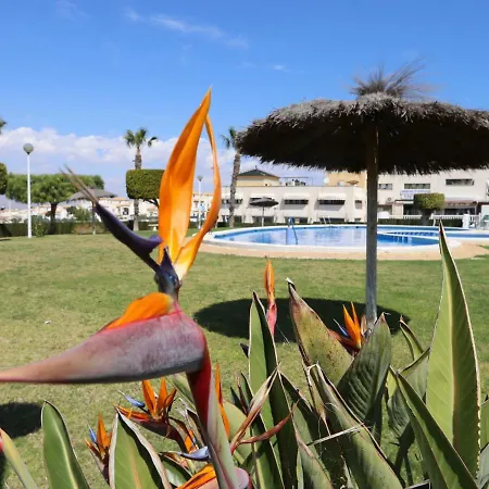 001 - Altomar Ii 001 - Comfortholidays * Gran Alacant