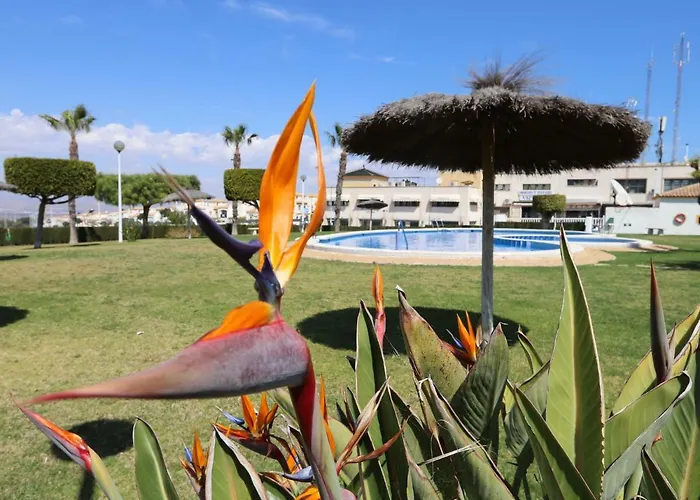 001 - Altomar Ii 001 - Comfortholidays * Gran Alacant